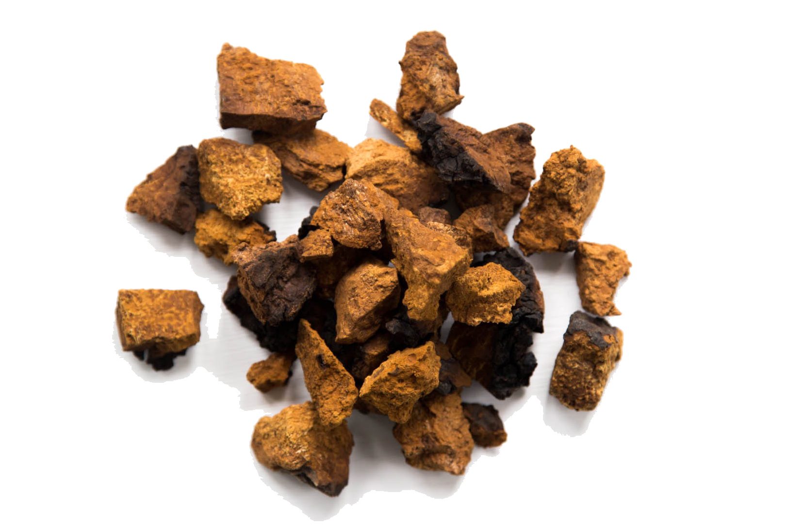 chaga moyen 2