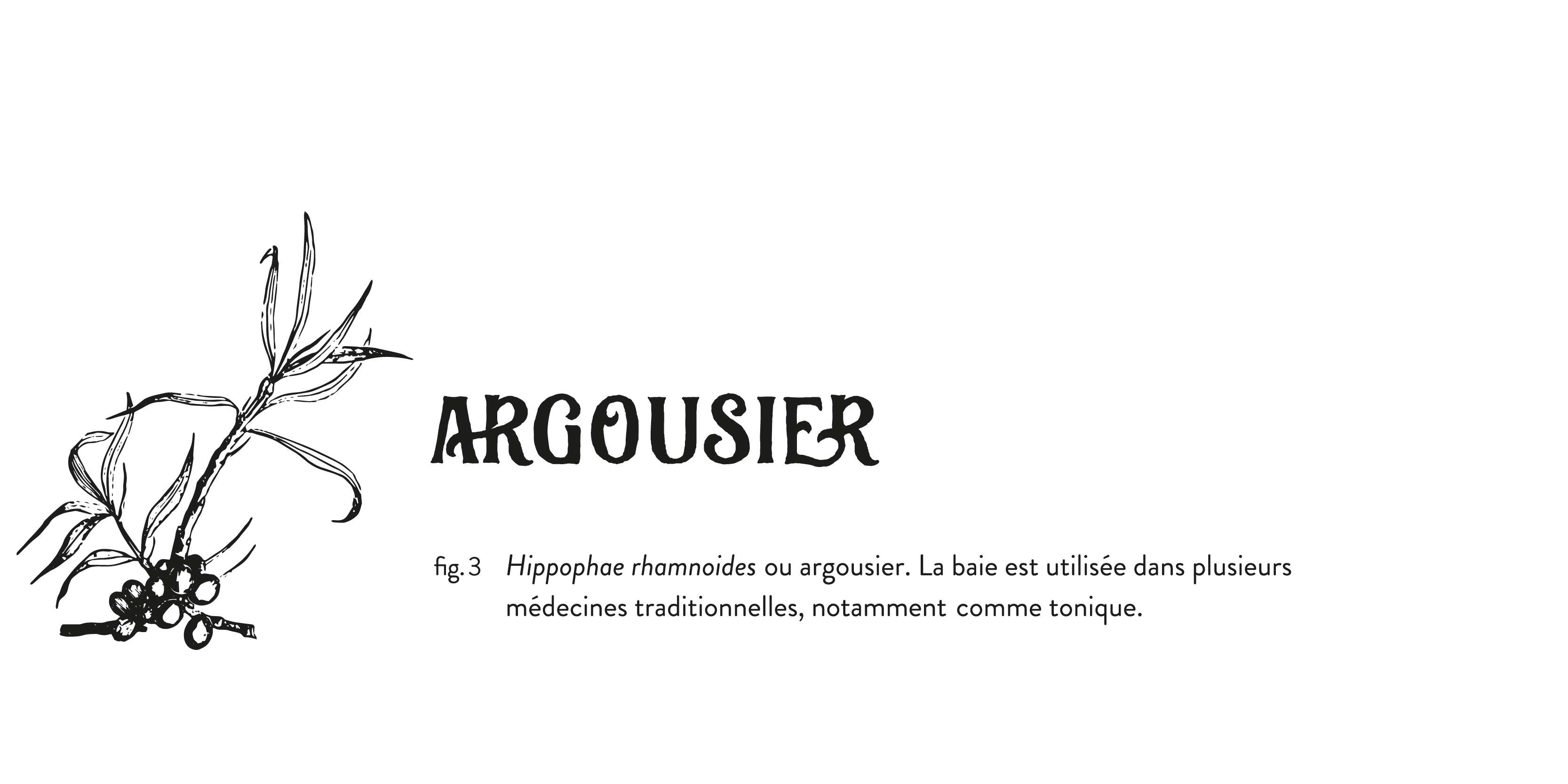 TCH_saveurs-03